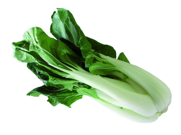 Paksoi, per stuk, Tuinderij De Overkant