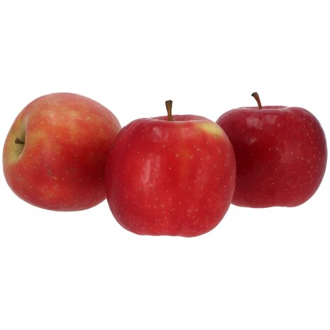 Appels, hand-, Candine-, per kg, Blue Whale Co&ouml;peratie