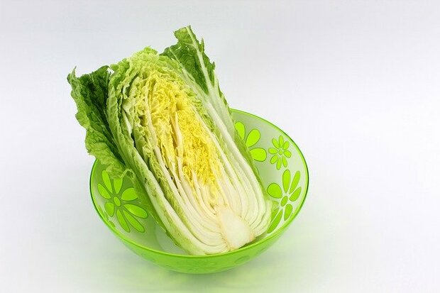 Chinese kool, per stuk, Tuinderij Haverkamp