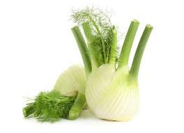 Knolvenkel, 500gr, Tuinderij De Overkant
