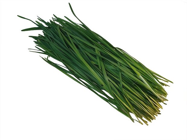 Bieslook, verse-, 3 potjes, Especia
