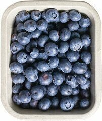 Bessen, blauwe-, 125gr, Agualma