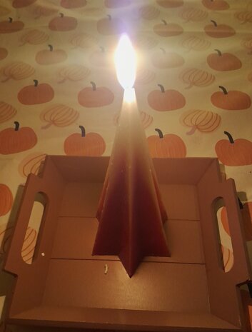 Sterkaars, recycle, 18cm, Samenlicht