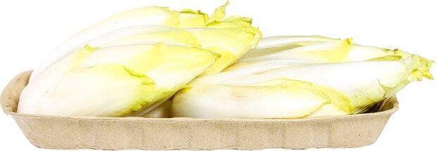 Witlof, 500gr, PuurNL