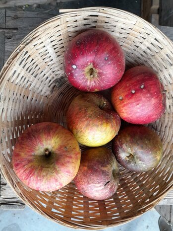 Appels, hand-, Topaz-, per kg, Hekkert Hoogstamfruit