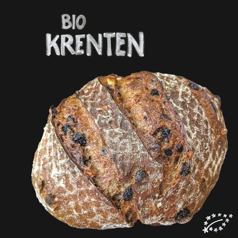 BROOD.revolutie, bio krenten brood, 600gr