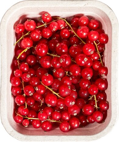 Bessen, rode-, 125gr, Hekkert Hoogstamfruit