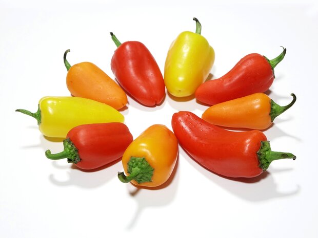 Snackpaprika Tatayoyo, per stuk, PuurNL