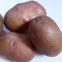 Aardappelen, kruimig, Alouette, per kg, PuurNL
