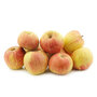 Appels, goudreinette, limoen-, per kg, Haverkamp