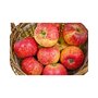 Appels, Topaz, per kg, Hekkert Hoogstamfruit