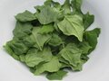 Spinazie, Nieuw-Zeelandse, 500gr, De Overkant