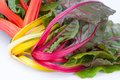Snijbiet, 350gr, Tuinderij De Overkant