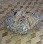 Spelt-zaden-bol, Sallands Ambachtsbrood, niet biologisch gecertificeerd