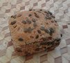 Speltbrood pompoenpitten, Sallands Ambachtsbrood, niet biologisch gecertificeerd