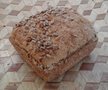 Speltbroodje zonnebloempitten, Sallands Ambachtsbrood, niet biologisch gecertificeerd