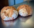 Tarwe witbrood, 650gr, Bosakker Brood, niet biologisch gecertificeerd