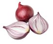 Uien, rode-, 500gr, Tuinderij de Overkant