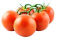 Tomaten, tros-, 500gr, Udea
