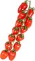 Tomaten, mini San Marzano, 500gr, Udea