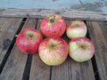 Appels, rubinola, per kg, Hekkert Hoogstamfruit