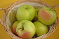 Appels, winterbanana, per kg, Hekkert Hoogstamfruit
