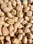 Walnoten, vers en ongesorteerd, per kg, Hekkert Hoogstamfruit