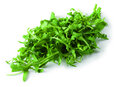 Rucola, per bos, Tuinderij Korenblik