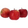 Appels, hand-, Candine-, per kg, Blue Whale Co&ouml;peratie