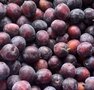 Pruimen, Eldense blauwe, 500gr, Hekkert Hoogstamfruit
