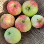 Appels, James Grieve-, hand-, per kg, Hekkert Hoogstamfruit