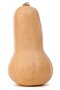Pompoen, Butternut-fles-, per kg, Tuinderij de Overkant