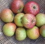 Appels, Cox Orange Peppin, per kg, Hekkert Hoogstamfruit