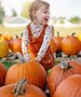 Pompoen, grote oranje haloween-, per stuk, Tuinderij de Overkant
