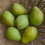 Peren, L&eacute;gipont-Charneux, per kg, Hekkert Hoostamfruit