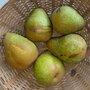 Peren, beurre superfin-, hand-, per kg, Hekkert Hoogstamfruit