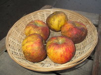 Appels, Svatava, per kg, Hekkert Hoogstamfruit Appels, Svatava, per kg, Hekkert Hoogstamfruit