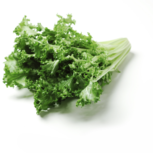 Andijvie, krul-/ friseesla, 500gr, Haverkamp Andijvie, krul-/ friseesla, 500gr, Haverkamp