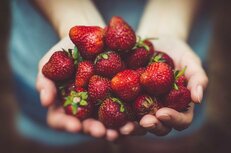 Aardbeien, 200gr, PuurNL Aardbeien, 200gr, PuurNL