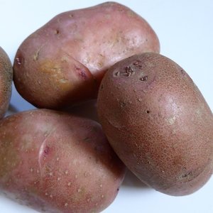 Aardappelen, kruimig, alouette, kg, Haverkamp